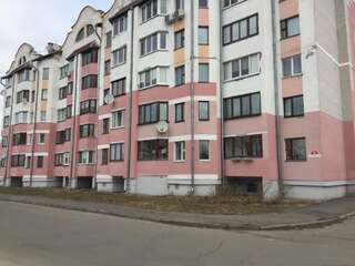 Апартаменты Апартаменты в центре города Пинск Апартаменты с 1 спальней-11